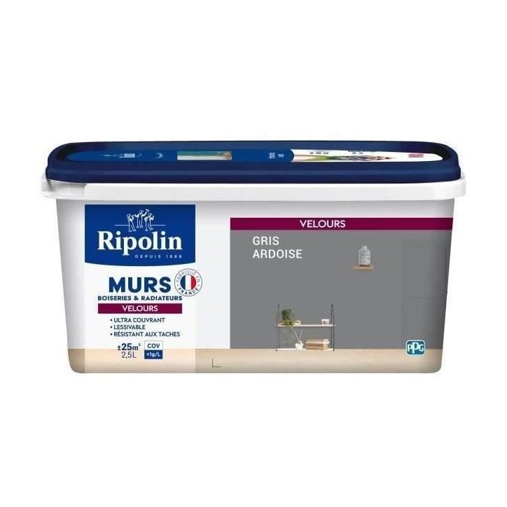 RIPOLIN Peinture Couleur Velours pour Murs, Boiseries Radiateurs - Gris ardoise RIPOLIN Peinture Couleur Velours pour Murs, Boiseries Radiateurs - Gris ardoise