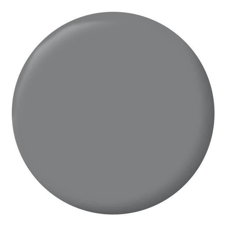 RIPOLIN Peinture Couleur Velours pour Murs, Boiseries Radiateurs - Gris ardoise RIPOLIN Peinture Couleur Velours pour Murs, Boiseries Radiateurs - Gris ardoise