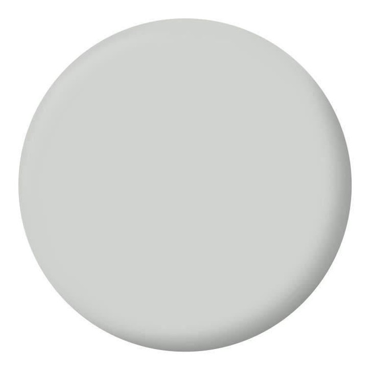RIPOLIN Peinture Couleur Velours pour Murs, Boiseries Radiateurs - Gris lome