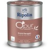 O'pur murs boiseries radiateurs gold bauges satin velouté - RIPOLIN -