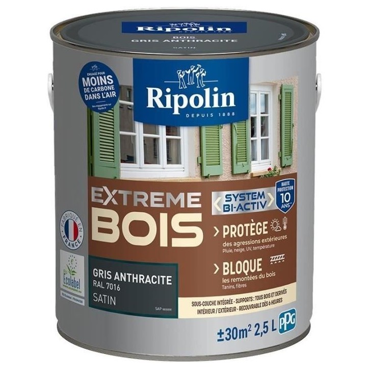 RIPOLIN PROTECTION EXTREME BOIS GRIS ANTHRACITE RAL70 Satin 2,5 L