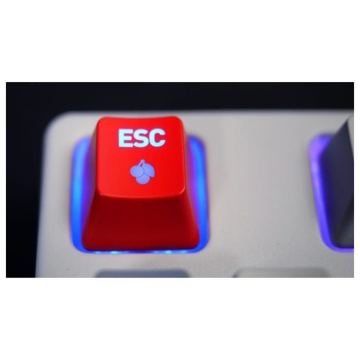 Clavier de gaming mécanique - CHERRY XTRFY K4V2 RGB TKL RETRO - Format TKL - Éclairage RGB - Noir Clavier de gaming mécanique - CHERRY XTRFY K4V2 RGB TKL RETRO - Format TKL - Éclairage RGB - Noir