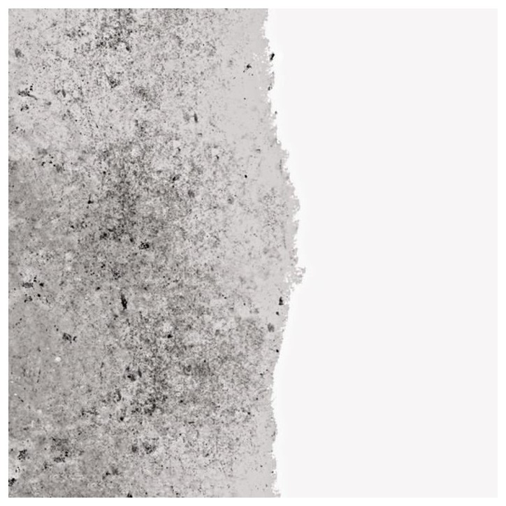Sous couche anti-humidité mat blanc 2,5L Ripolin