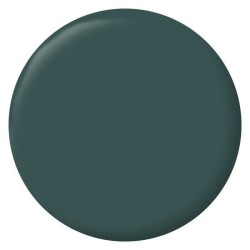 RIPOLIN Peinture Couleur Velours pour Murs, Boiseries Radiateurs - Ver