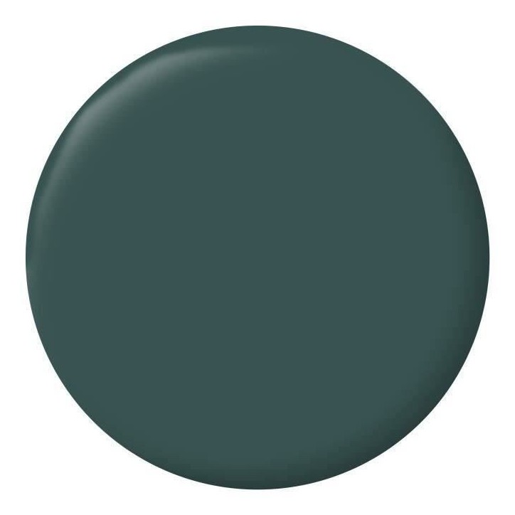 RIPOLIN Peinture Couleur Velours pour Murs, Boiseries Radiateurs - Vert Armerie RIPOLIN Peinture Couleur Velours pour Murs, Boiseries Radiateurs - Vert Armerie