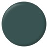 RIPOLIN Peinture Couleur Velours pour Murs, Boiseries Radiateurs - Ver