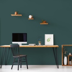 RIPOLIN Peinture Couleur Velours pour Murs, Boiseries Radiateurs - Ver