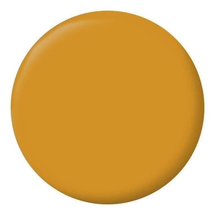 RIPOLIN Peinture Couleur Velours pour Murs, Boiseries Radiateurs - Jaune ambre RIPOLIN Peinture Couleur Velours pour Murs, Boiseries Radiateurs - Jaune ambre