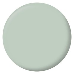 RIPOLIN Peinture Couleur Velours pour Murs, Boiseries Radiateurs - Ver