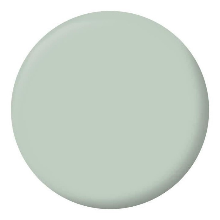 RIPOLIN Peinture Couleur Velours pour Murs, Boiseries Radiateurs - Vert Palatino RIPOLIN Peinture Couleur Velours pour Murs, Boiseries Radiateurs - Vert Palatino