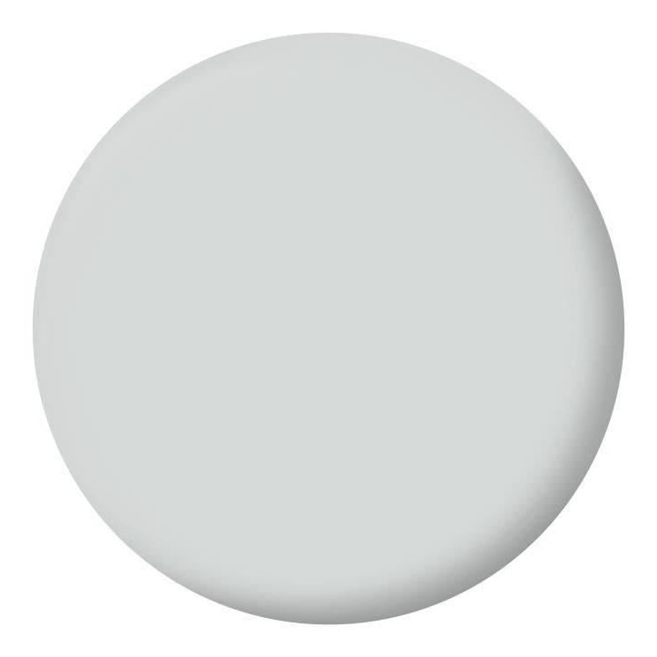 RIPOLIN Peinture Couleur Velours pour Murs, Boiseries Radiateurs - Gris souris RIPOLIN Peinture Couleur Velours pour Murs, Boiseries Radiateurs - Gris souris