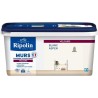 Peinture deco murs, boiseries & radiateurs - RIPOLIN - 447161 - Blanc