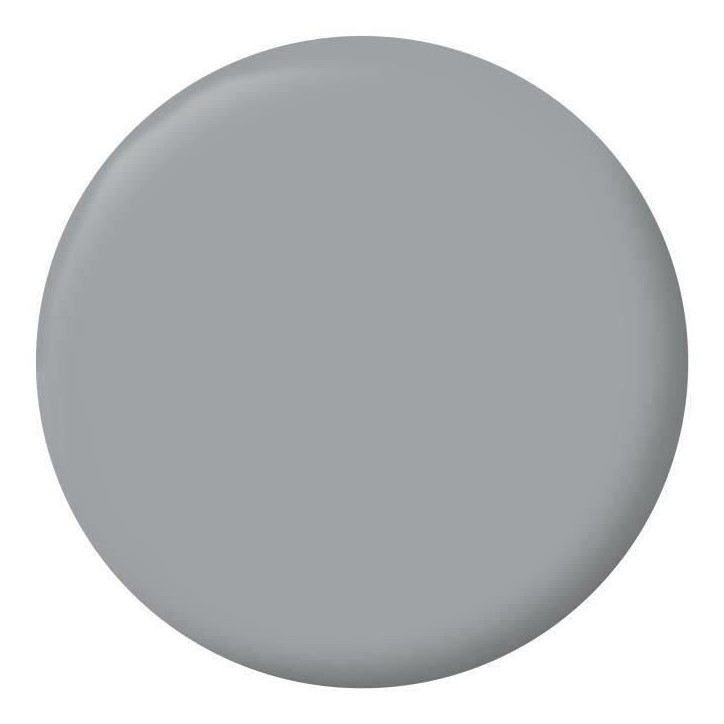 RIPOLIN Peinture Couleur Velours pour Murs, Boiseries Radiateurs - Gris galet RIPOLIN Peinture Couleur Velours pour Murs, Boiseries Radiateurs - Gris galet