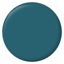 RIPOLIN Peinture Couleur Velours pour Murs, Boiseries Radiateurs - Ble
