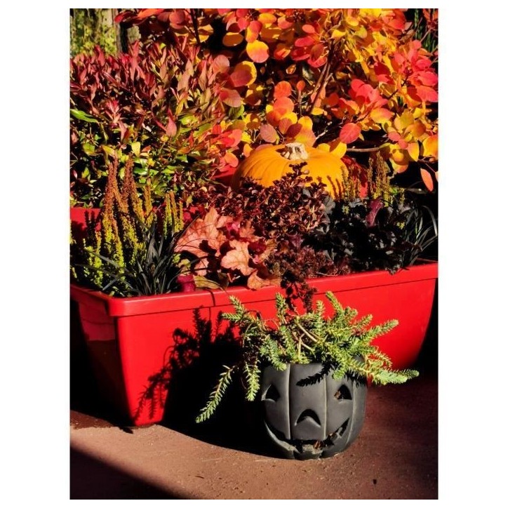 Bac a fleurs RIVIERA EVA - Lot 2 jardinieres - Plastique - 57 cm - Rouge Bac a fleurs RIVIERA EVA - Lot 2 jardinieres - Plastique - 57 cm - Rouge