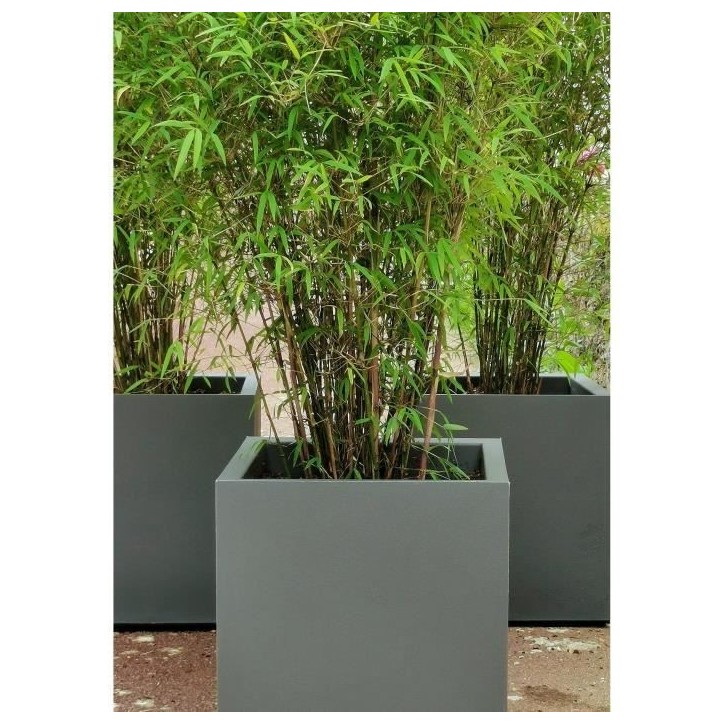 RIVIERA Bac Granit - 30x30 cm - Gris RIVIERA Bac Granit - 30x30 cm - Gris