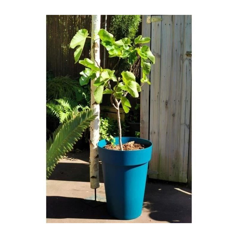 Bac a fleurs RIVIERA SOLEILLA - Plastique - Hauteur 53 cm - Bleu Bac a fleurs RIVIERA SOLEILLA - Plastique - Hauteur 53 cm - Bleu