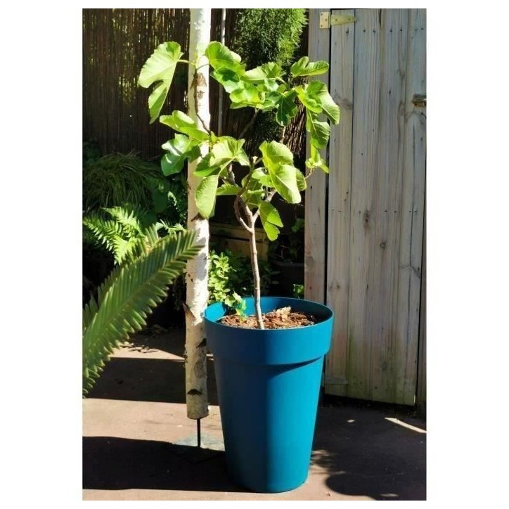 Bac a fleurs RIVIERA SOLEILLA - Plastique - Hauteur 53 cm - Bleu