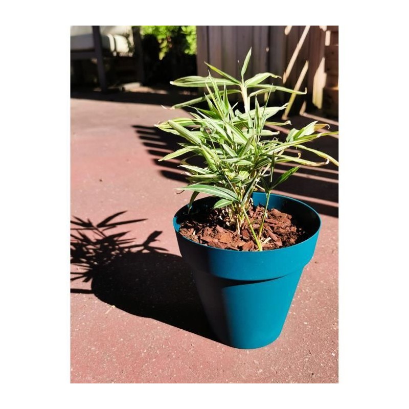 Bac a fleurs rond RIVIERA SOLEILLA - Plastique - Diametre 60 cm - Bleu Bac a fleurs rond RIVIERA SOLEILLA - Plastique - Diametre 60 cm - Bleu