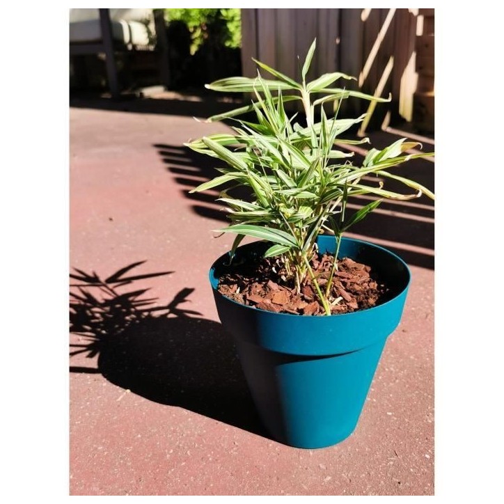 Bac a fleurs rond RIVIERA SOLEILLA - Plastique - Diametre 60 cm - Bleu Bac a fleurs rond RIVIERA SOLEILLA - Plastique - Diametre 60 cm - Bleu