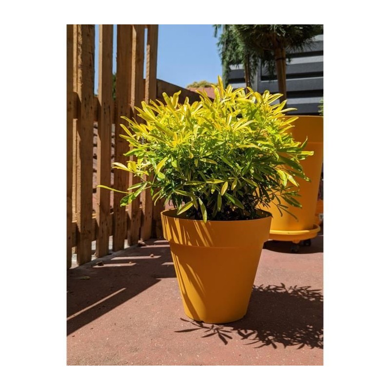 Bac a fleurs rond RIVIERA SOLEILLA - Plastique - Diametre 60 cm - Jaun Bac a fleurs rond RIVIERA SOLEILLA - Plastique - Diametre 60 cm - Jaun