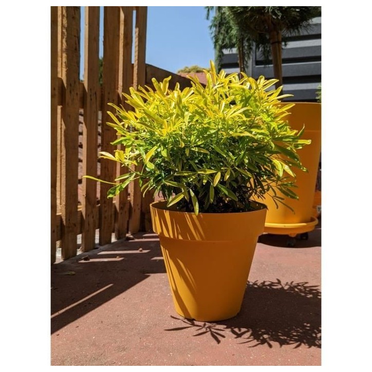 Bac a fleurs rond RIVIERA SOLEILLA - Plastique - Diametre 60 cm - Jaune