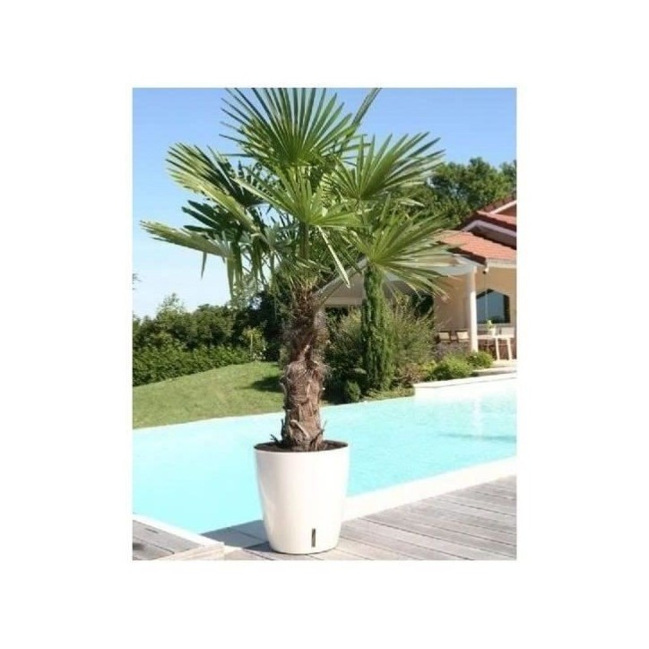 Bac a fleurs rond RIVIERA EVA NEW - Plastique - Diametre 36 cm - Bleu Bac a fleurs rond RIVIERA EVA NEW - Plastique - Diametre 36 cm - Bleu