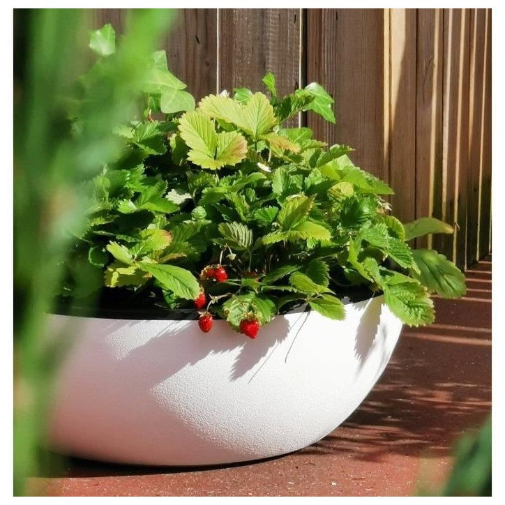 RIVIERA - Coupe pot de fleurs - granit D40 - blanc RIVIERA - Coupe pot de fleurs - granit D40 - blanc