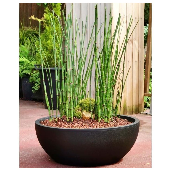 RIVIERA - Coupe pot de fleurs - granit D40 - noir