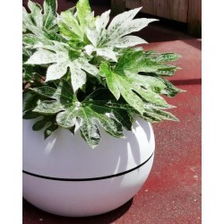 Bac a fleurs rond RIVIERA GRANIT BOULE - Plastique - Diametre 50 cm -