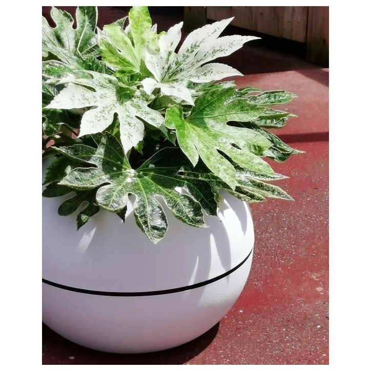 Bac a fleurs rond RIVIERA GRANIT BOULE - Plastique - Diametre 50 cm - Blanc