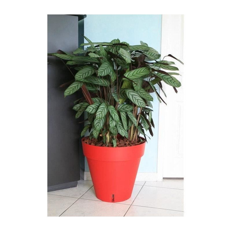 RIVIERA Pot de fleurs Loft avec réserve d'eau - Rond - Ø 50 x H 46 c RIVIERA Pot de fleurs Loft avec réserve d'eau - Rond - Ø 50 x H 46 c