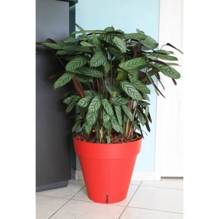 RIVIERA Pot de fleurs Loft avec réserve d'eau - Rond - Ø 50 x H 46 c