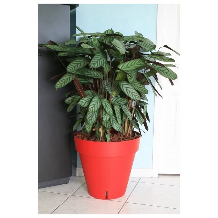 RIVIERA Pot de fleurs Loft avec réserve d'eau - Rond - Ø 50 x H 46 cm - Rouge RIVIERA Pot de fleurs Loft avec réserve d'eau - Rond - Ø 50 x H 46 cm - Rouge