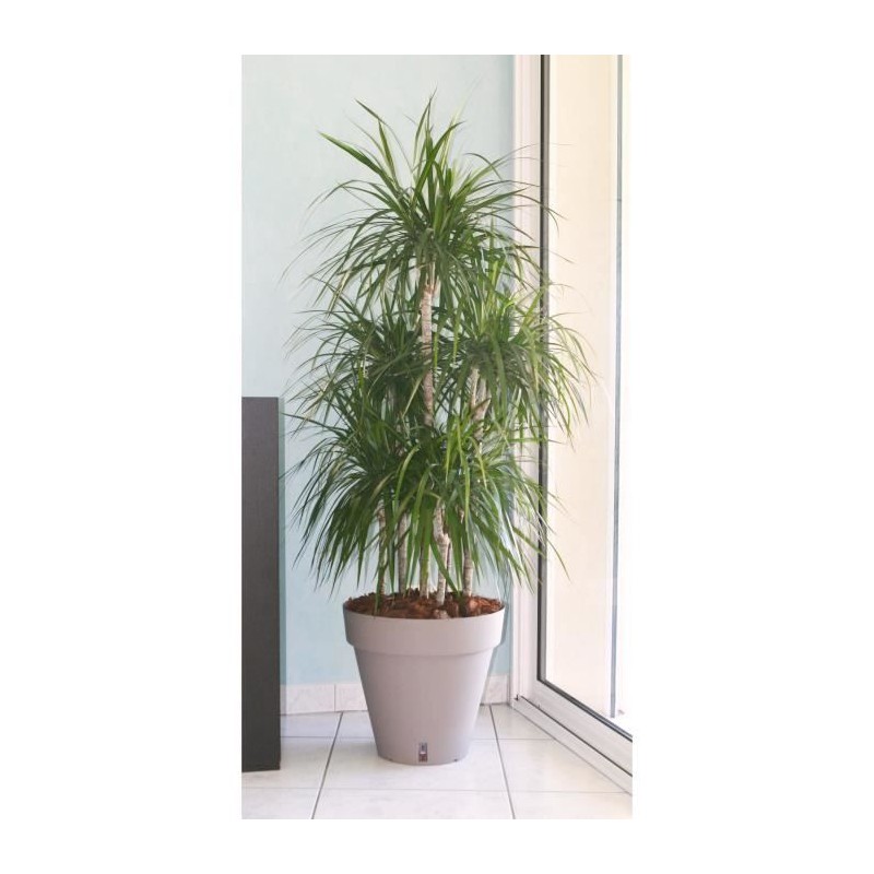 RIVIERA Pot de fleurs Loft avec réserve d'eau - Rond - Ø 50 x H 46 c RIVIERA Pot de fleurs Loft avec réserve d'eau - Rond - Ø 50 x H 46 c