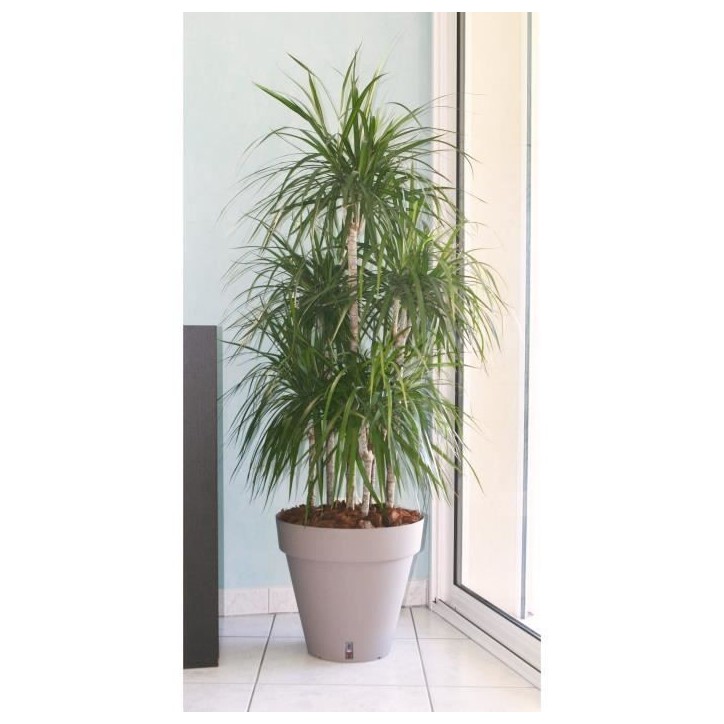 RIVIERA Pot de fleurs Loft avec réserve d'eau - Rond - Ø 50 x H 46 cm -Taupe RIVIERA Pot de fleurs Loft avec réserve d'eau - Rond - Ø 50 x H 46 cm -Taupe