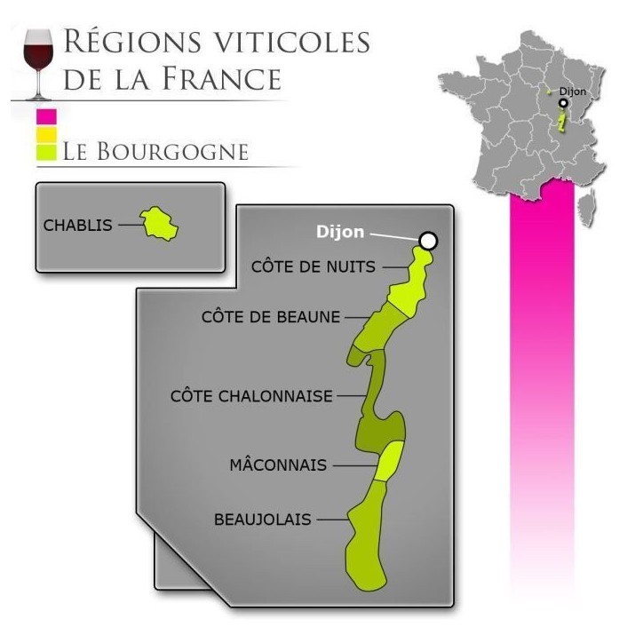 Reine Pédauque 2023 Pinot Noir - Vin rouge de Bourgogne