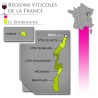 Reine Pédauque 2023 Pinot Noir - Vin rouge de Bourgogne