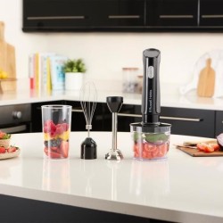 Mixeur plongeant 3 en 1 mixeur/hachoir/fouet - RUSSEL HOBBS - Desire M