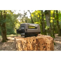 RYOBI - 1 batterie lithium+ 36V MAXPOWER 6,0 Ah High Energy - gestion