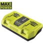 RYOBI - Chargeur 36V MAXPOWER 2 ports 6,0 A - RY36C2PA