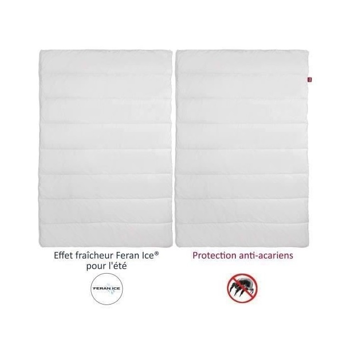 ABEIL Couette 4 Saisons ANTI-ACARIENS 140x200cm ABEIL Couette 4 Saisons ANTI-ACARIENS 140x200cm