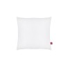 ABEIL Lot de 2 Oreillers Anti-Acarien - 60 x 60 cm - Blanc