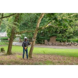 RYOBI - Élagueur sur perche 18V - guide 20 cm - 5,5 m/s - tube d'exte