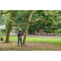 RYOBI - Élagueur sur perche 18V - guide 20 cm - 5,5 m/s - tube d'exte