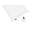 ABEIL Lot de 2 oreillers Ultima Confort - 60 x 60 cm