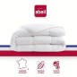 Couette chaude 400gr/m² Douceur Auvergnate - 200 x 200 cm - 2 personnes - ABEIL