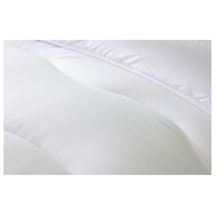 ABEIL Couette chaude 400gr/m² Thermofill 200 x 200 cm