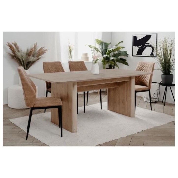 Table extensible - SAI - Rectangulaire - 10 personnes - 160/200 x 75 x 90 cm - Jackson Hickory