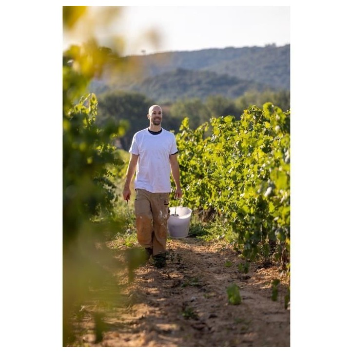 Saint X Rosé 2024 - IGP Méditerranée - Vin rosé de Provence 75cl